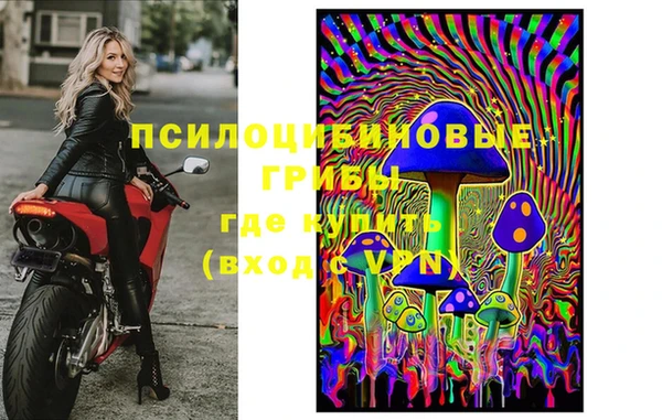 дживик Белоозёрский